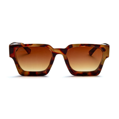 902 Square Frames - Tortoiseshell & Brown